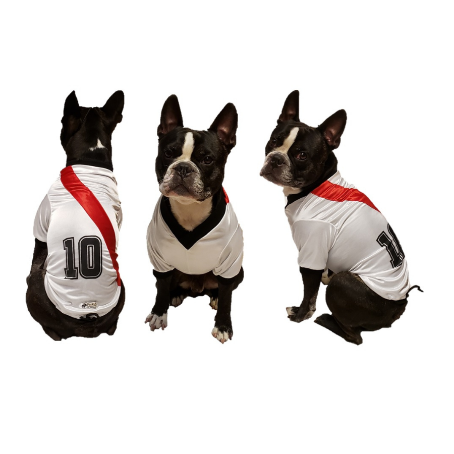 camisetas futbol para perros